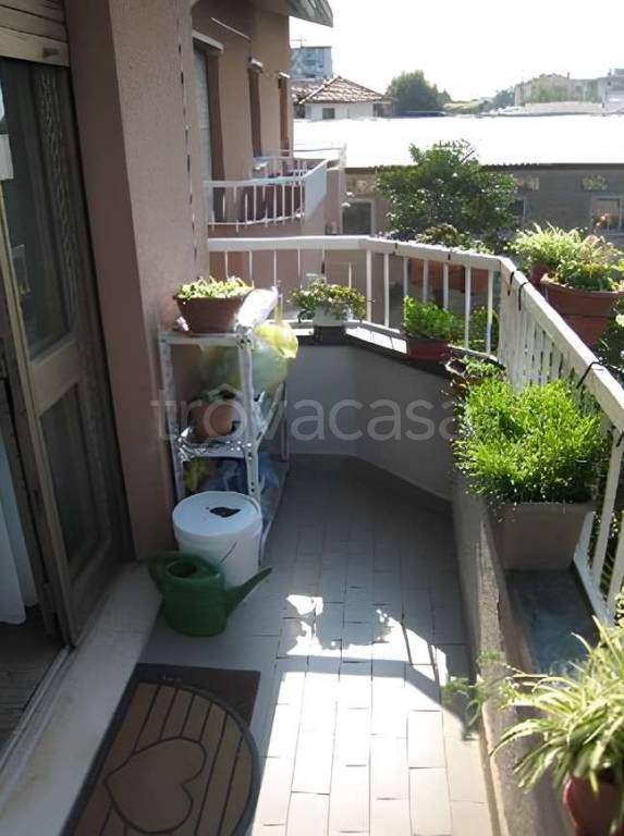 immagine annuncio 9 di 11