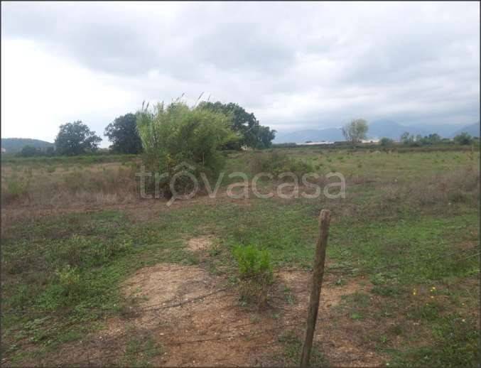 immagine annuncio 2 di 6