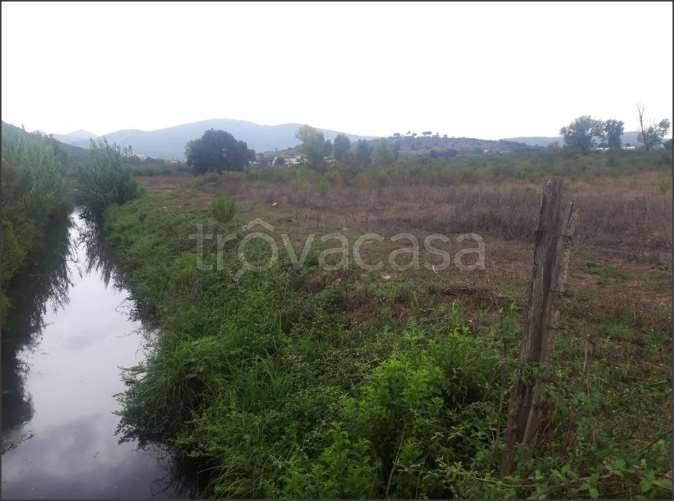 immagine annuncio 4 di 6