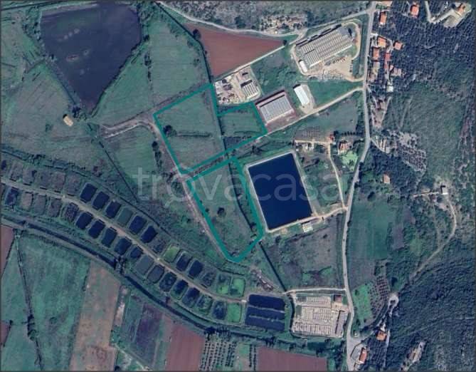 immagine annuncio 5 di 6