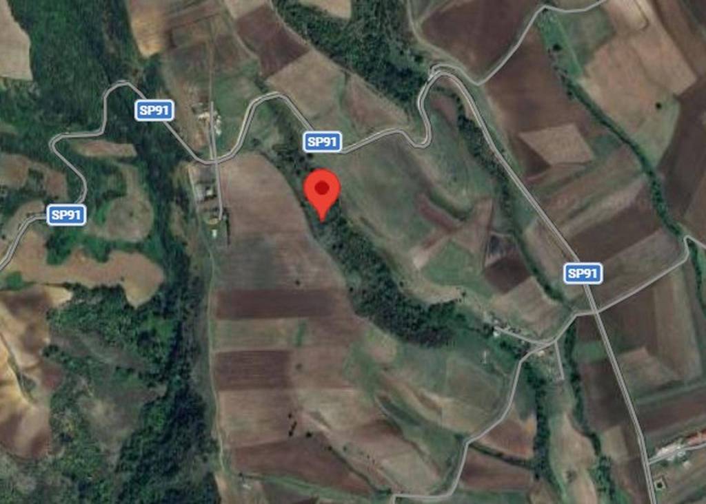 immagine annuncio 12 di 13