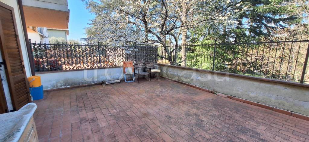 immagine annuncio 12 di 14