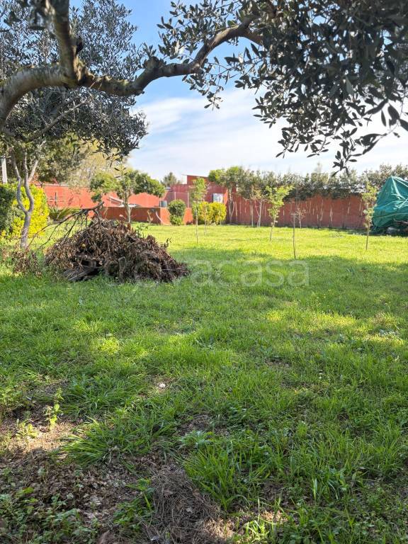 immagine annuncio 8 di 13