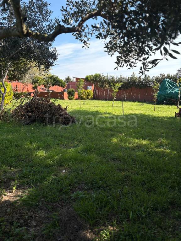 immagine annuncio 9 di 13