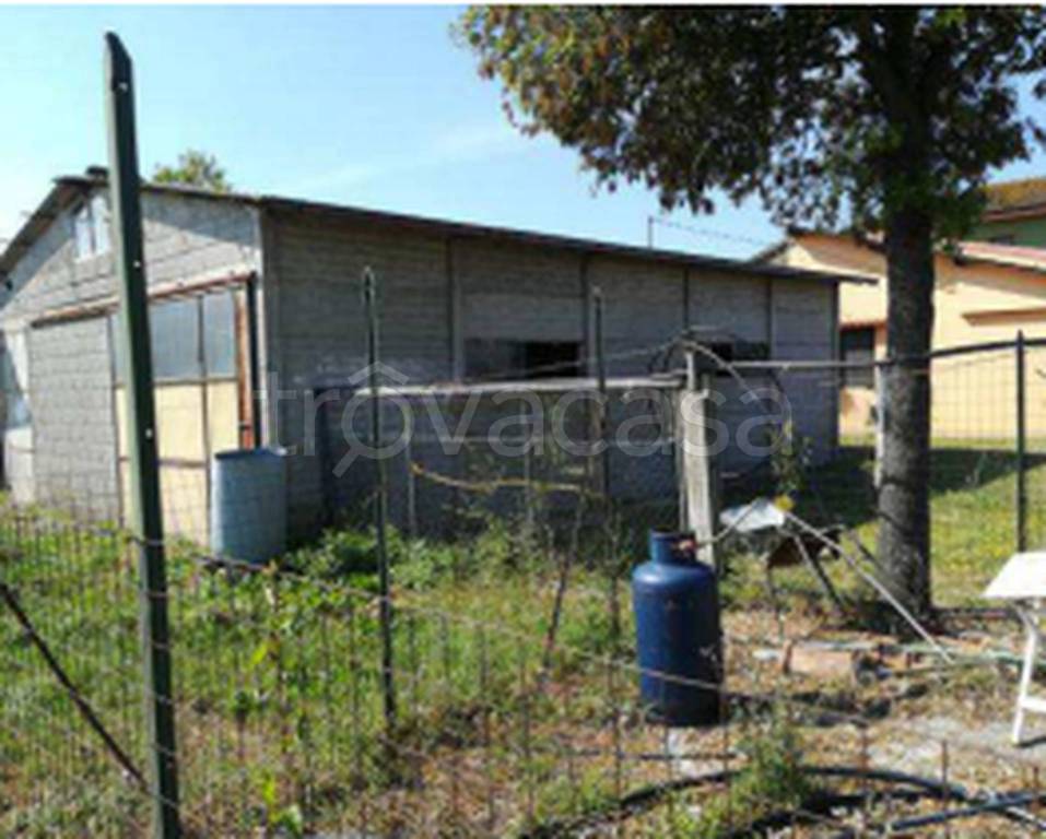 immagine annuncio 3 di 11