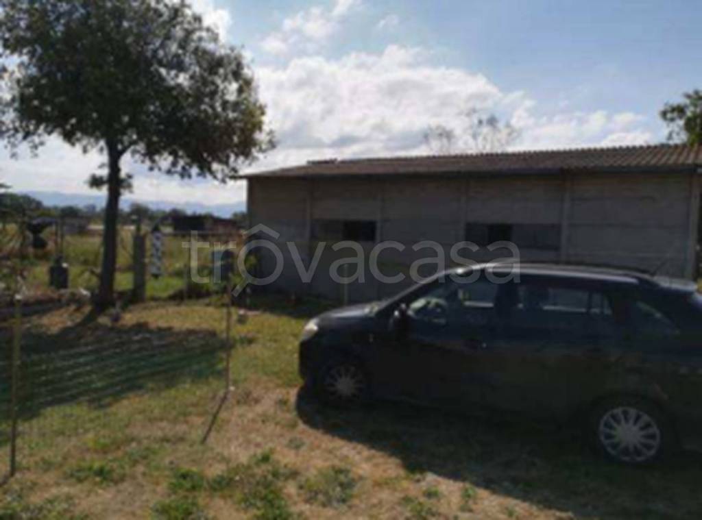 immagine annuncio 5 di 11