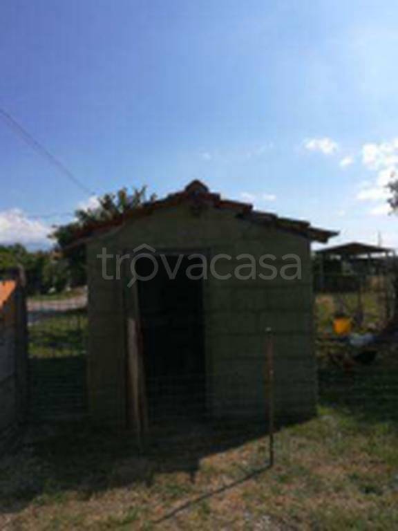 immagine annuncio 6 di 11