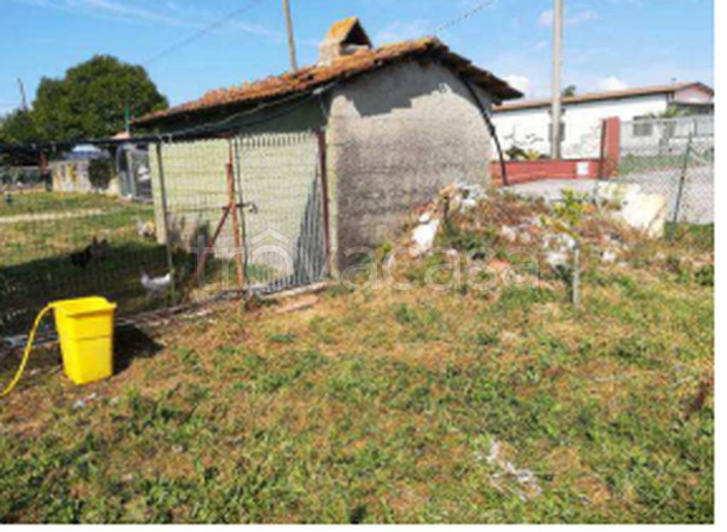 immagine annuncio 7 di 11