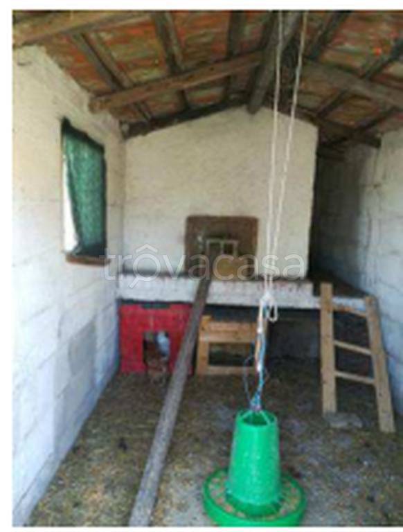 immagine annuncio 8 di 11