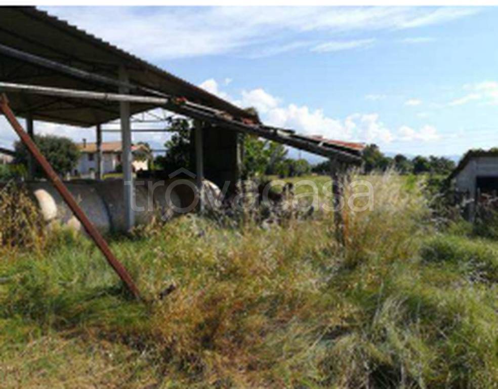 immagine annuncio 9 di 11