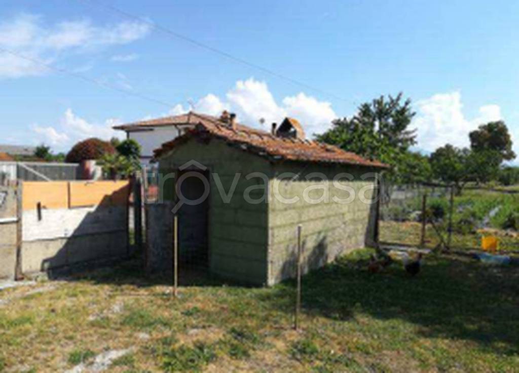 immagine annuncio 10 di 11