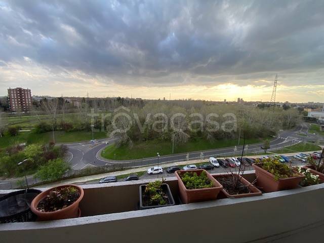 immagine annuncio 1 di 12