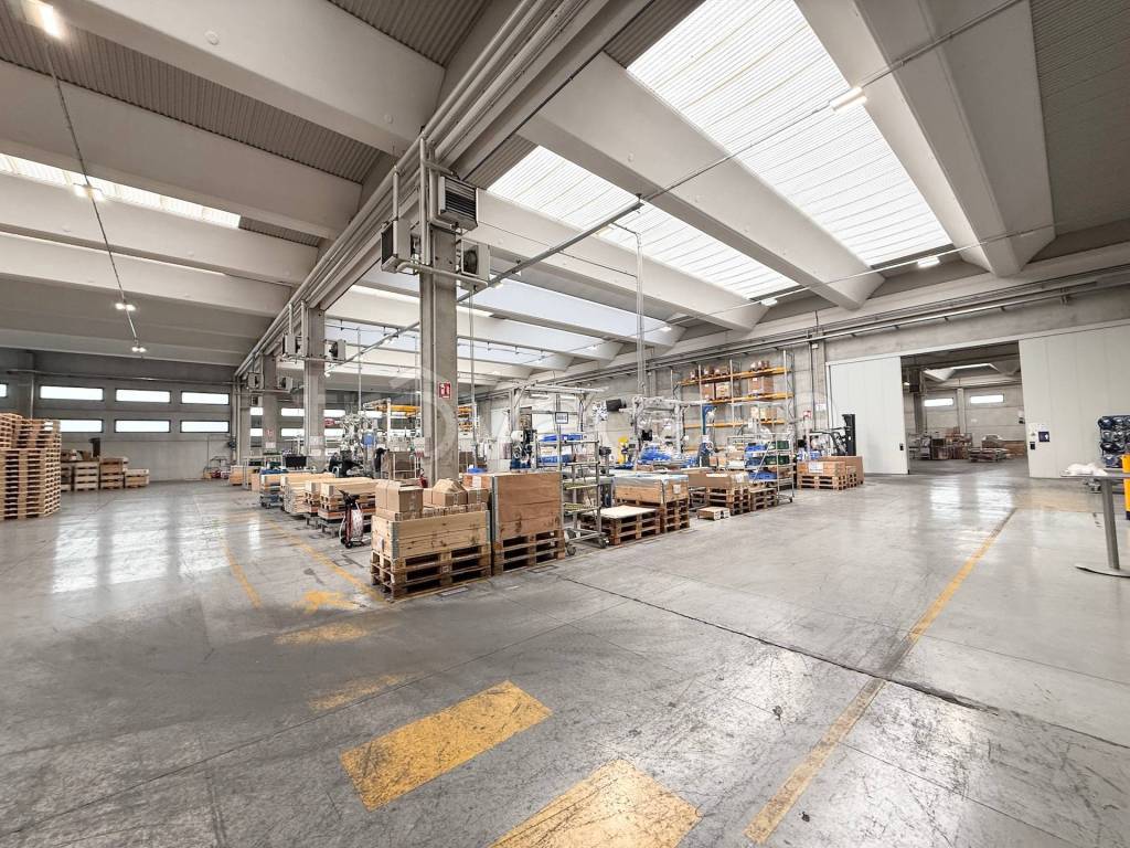 immagine annuncio 1 di 6