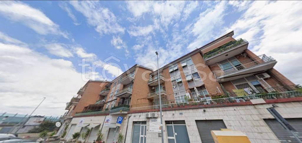 immagine annuncio 1 di 12