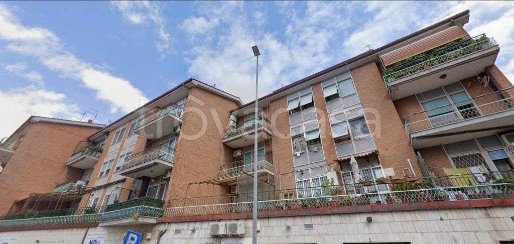 immagine annuncio 2 di 12