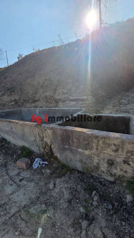 immagine annuncio 8 di 12