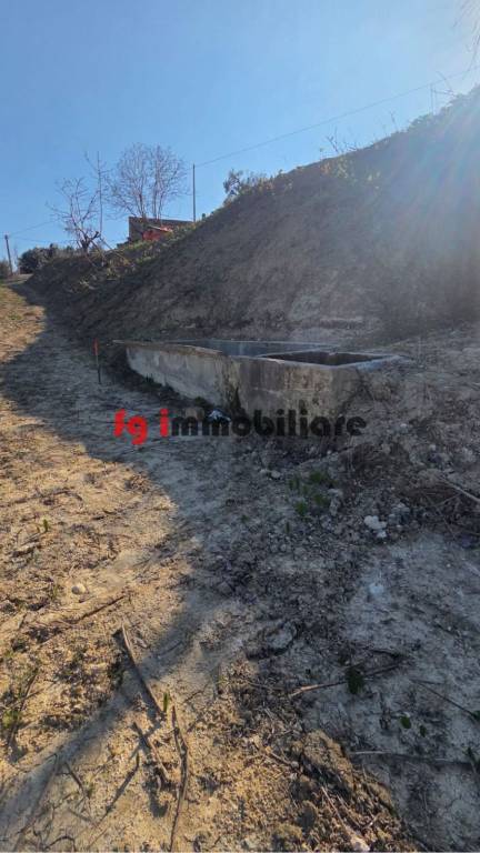 immagine annuncio 9 di 12