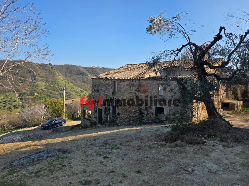 immagine annuncio 1 di 12