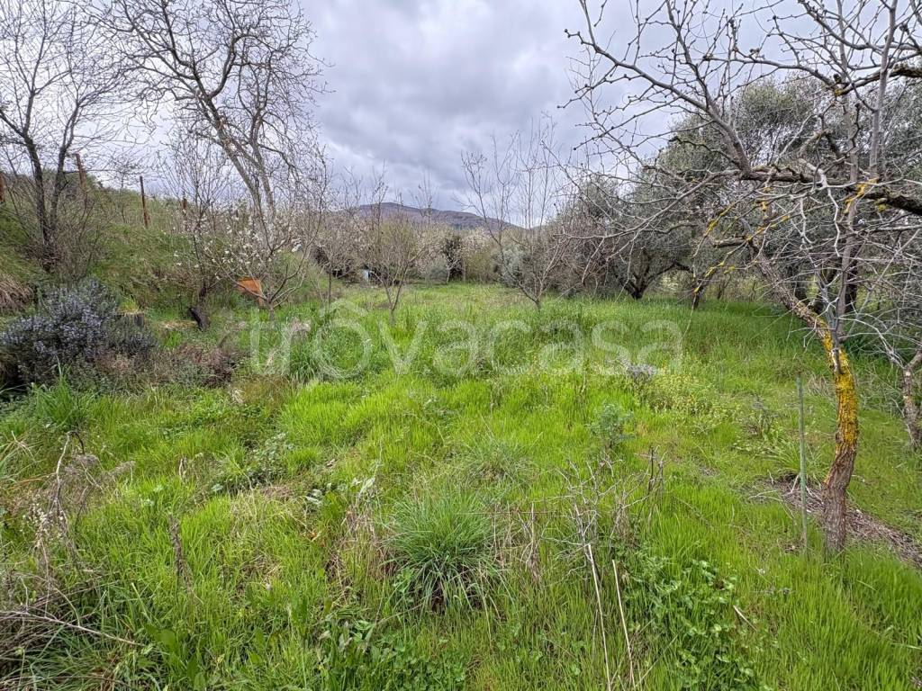 immagine annuncio 5 di 13