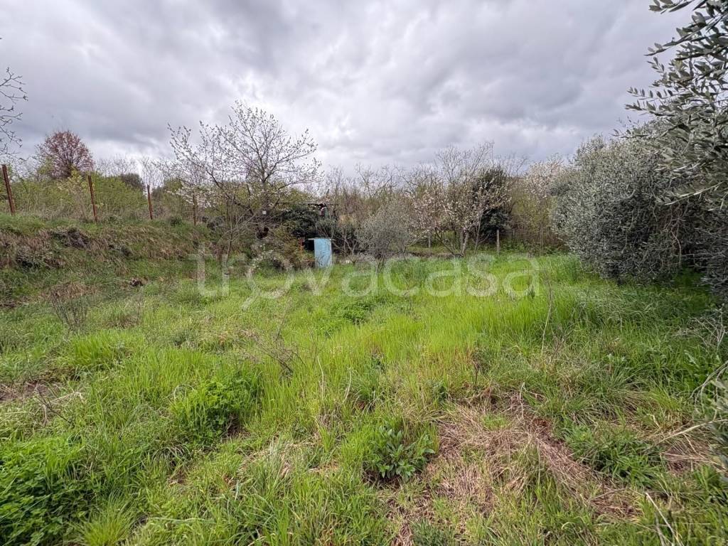 immagine annuncio 8 di 13