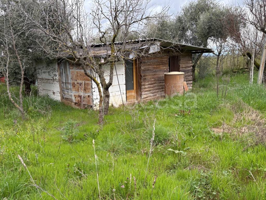 immagine annuncio 9 di 13