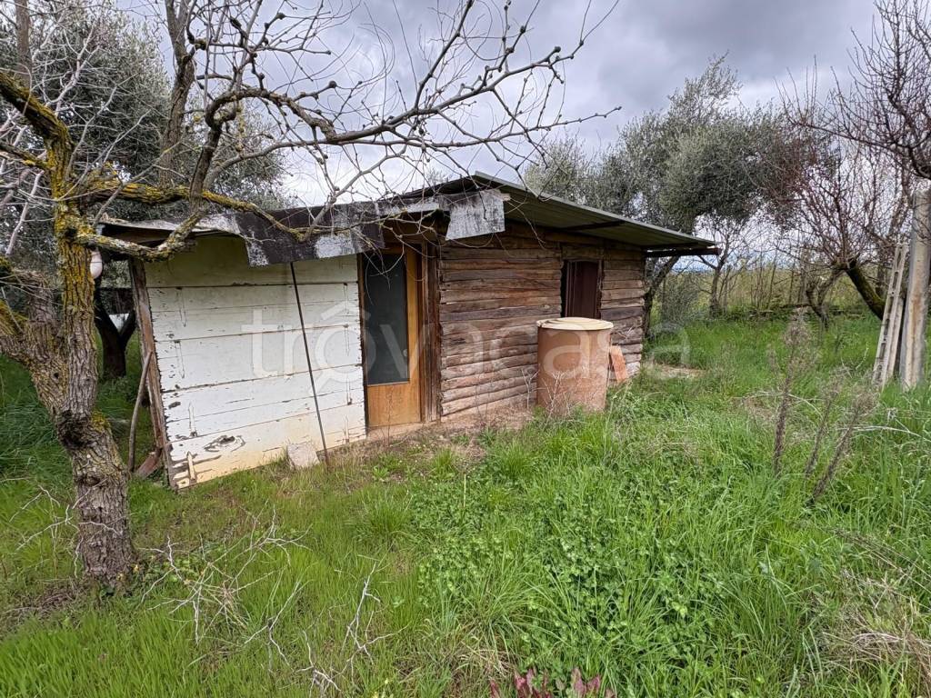 immagine annuncio 10 di 13