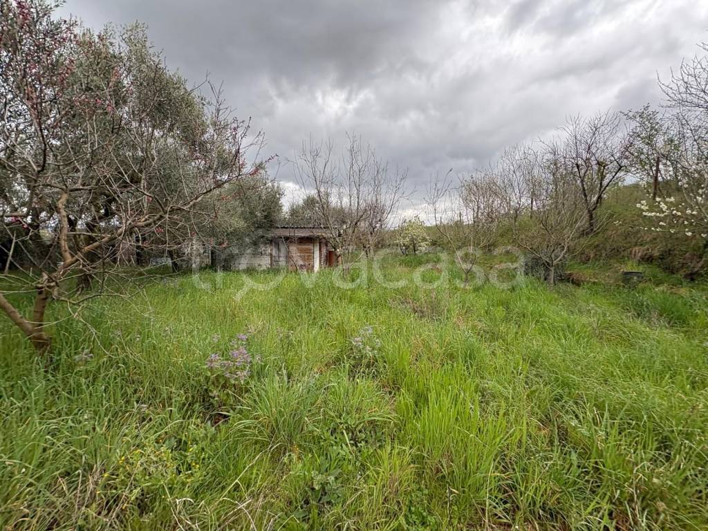 immagine annuncio 11 di 13