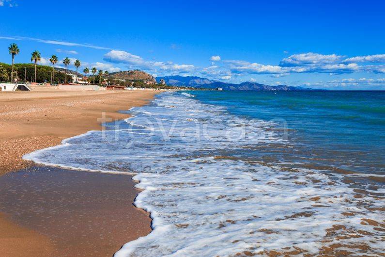 immagine annuncio 12 di 14