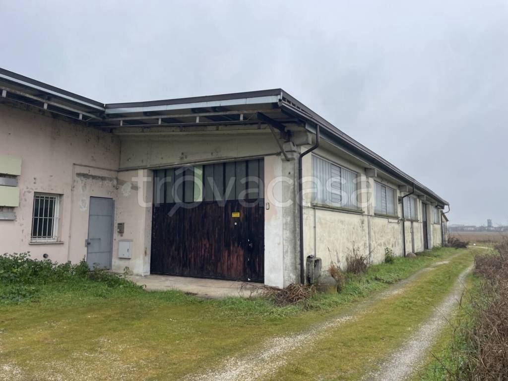 immagine annuncio 2 di 8