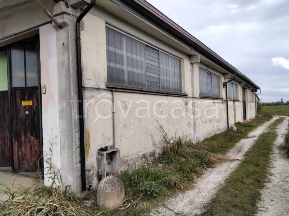 immagine annuncio 4 di 8