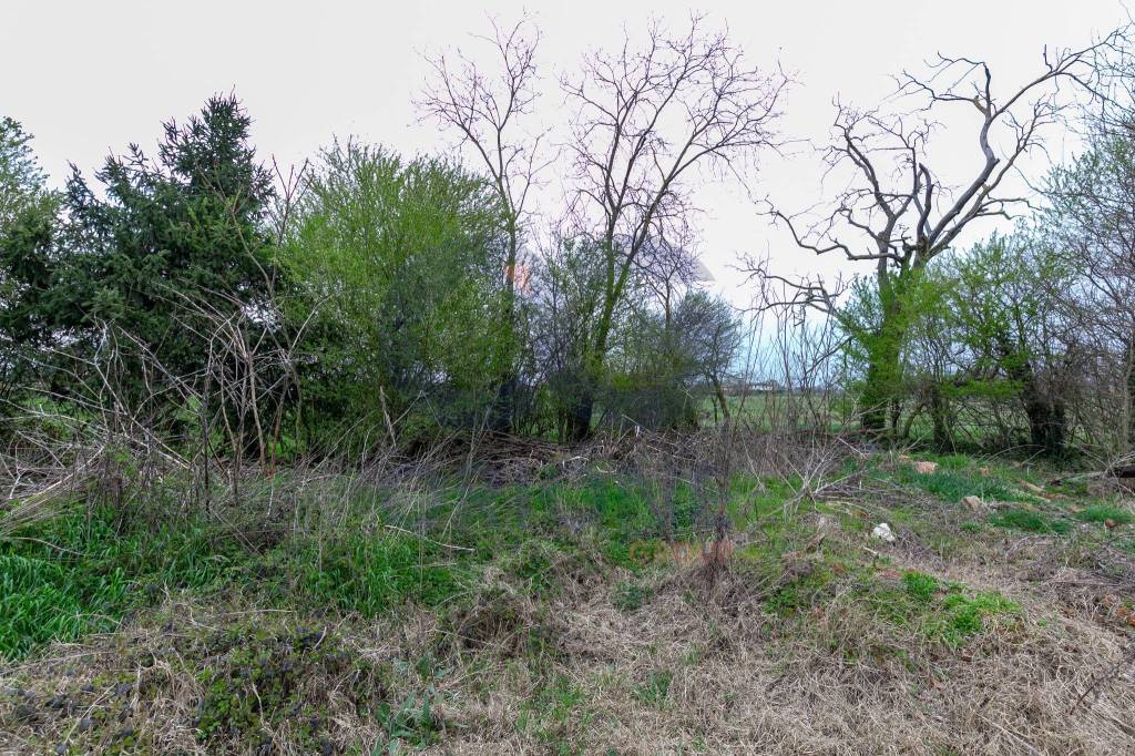 immagine annuncio 6 di 14