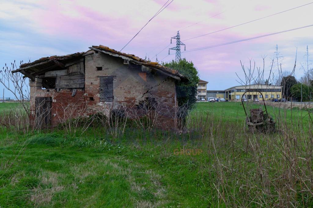 immagine annuncio 9 di 14