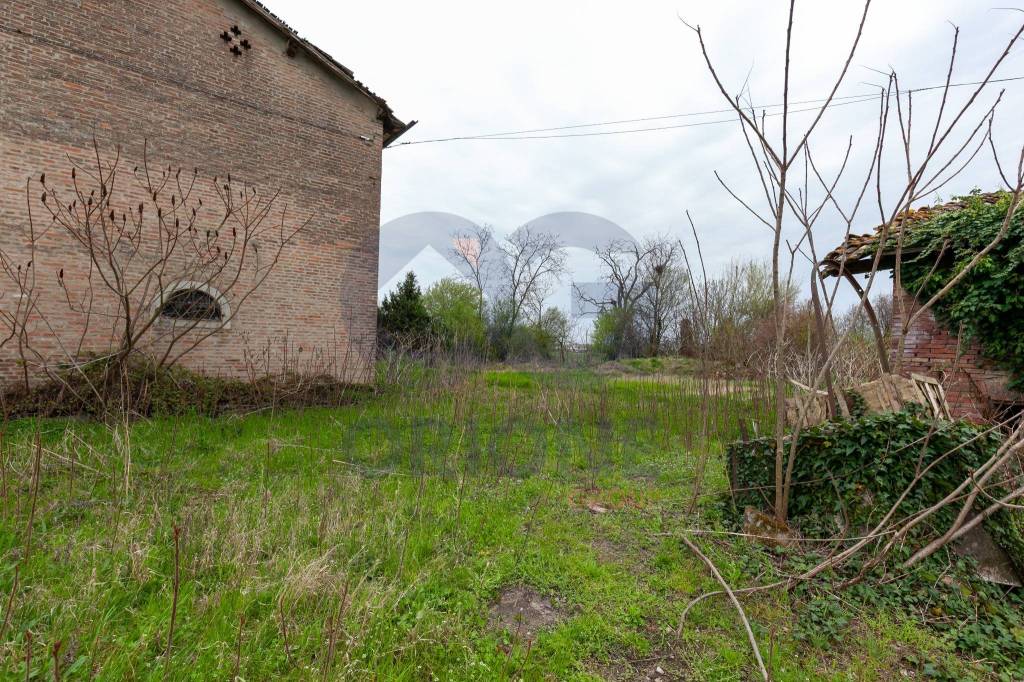 immagine annuncio 11 di 14