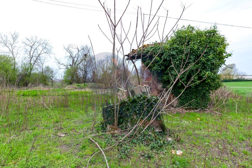 immagine annuncio 12 di 14