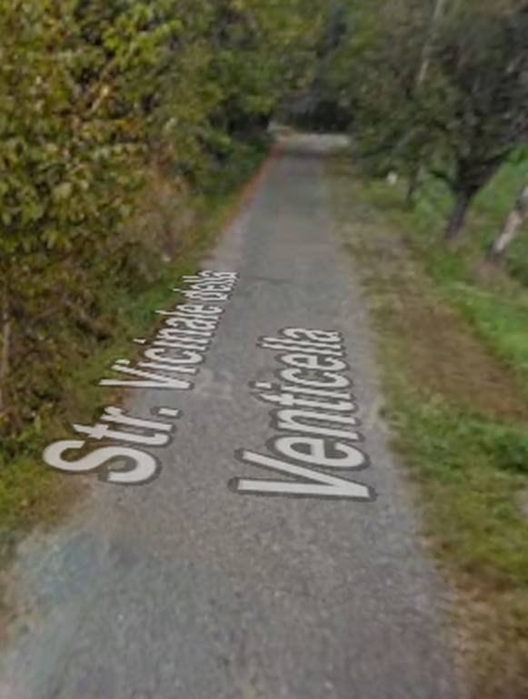 immagine annuncio 3 di 11