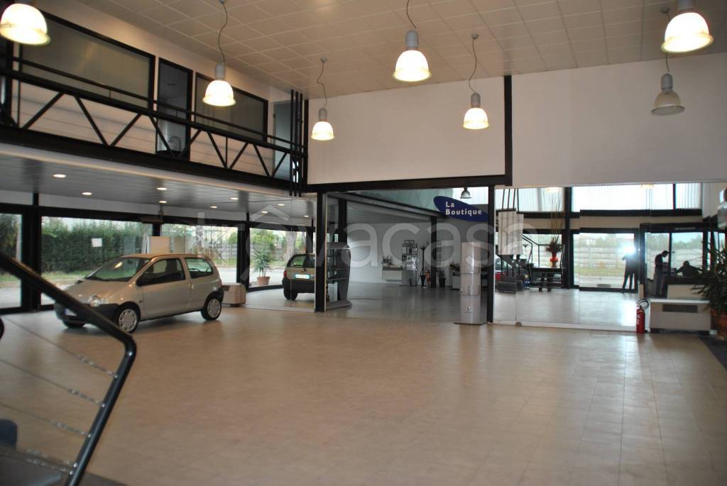 immagine annuncio 10 di 15