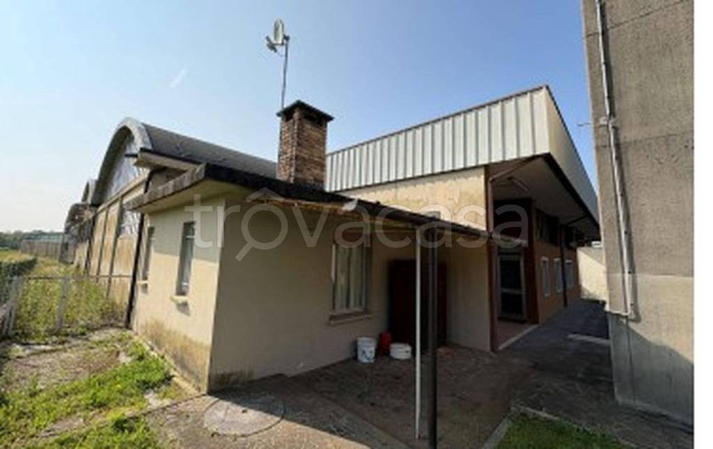 immagine annuncio 1 di 12