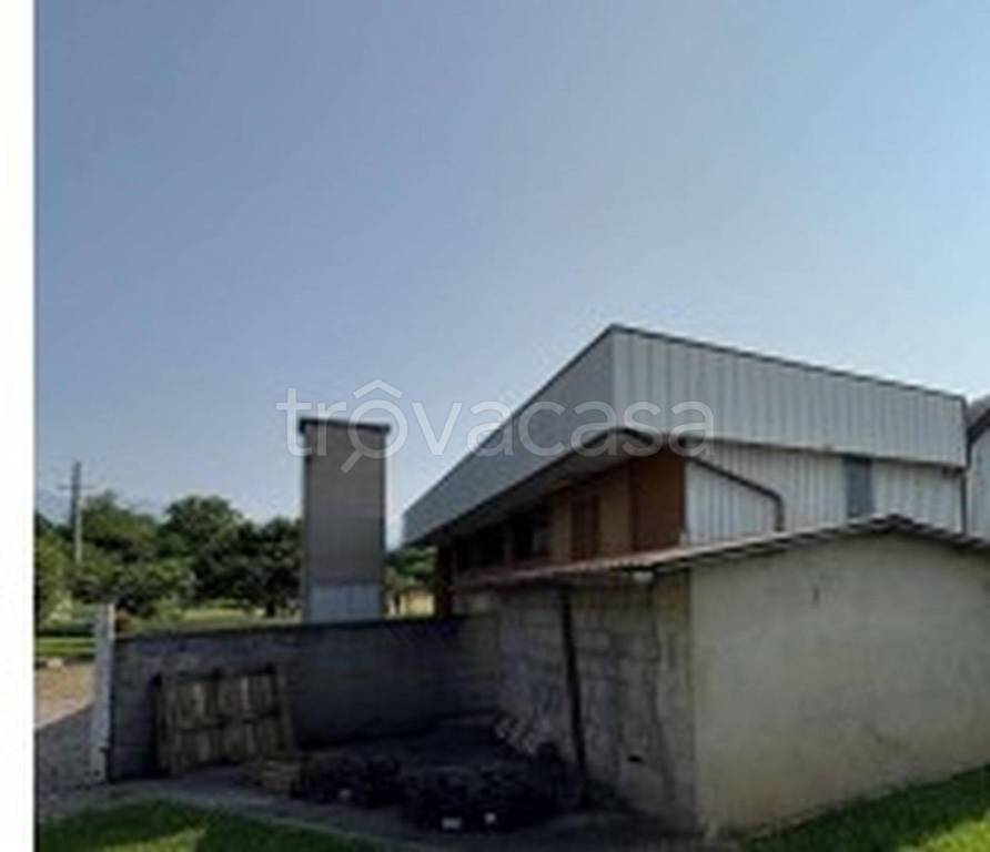 immagine annuncio 4 di 12