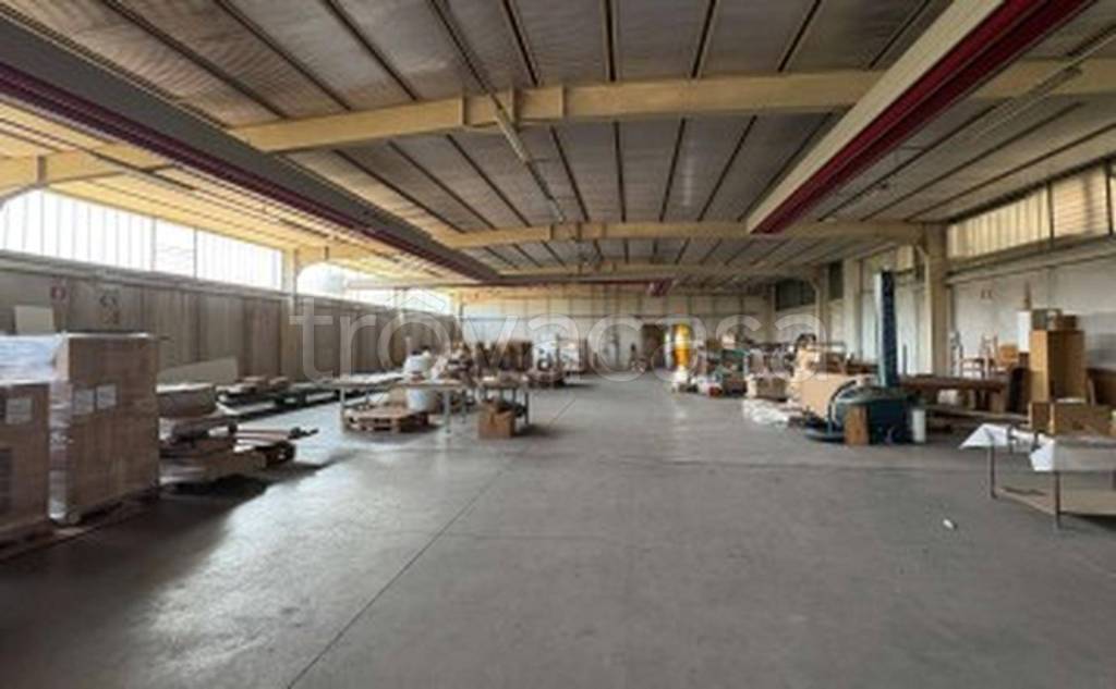 immagine annuncio 5 di 12