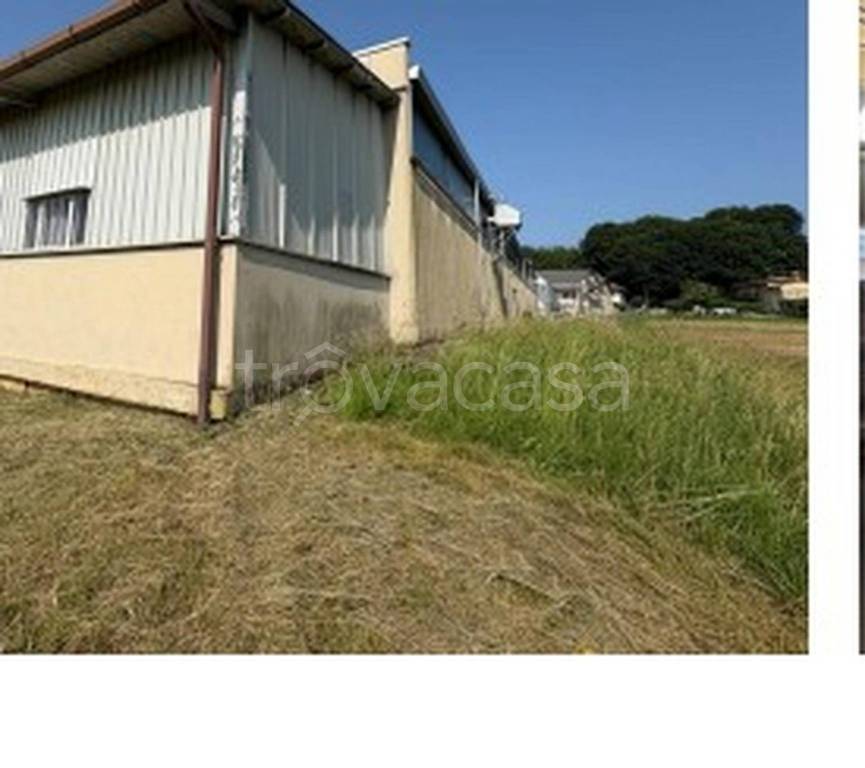 immagine annuncio 6 di 12