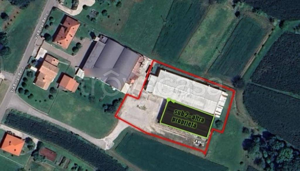 immagine annuncio 10 di 12