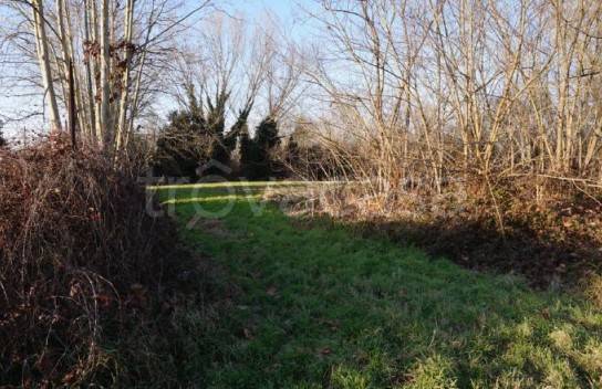 immagine annuncio 4 di 12