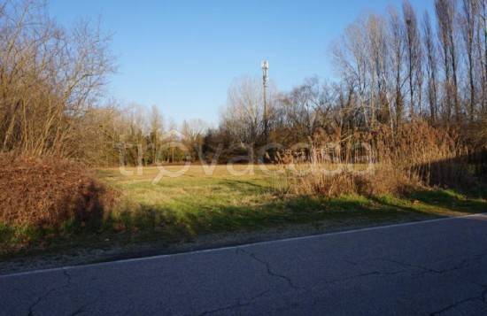 immagine annuncio 5 di 12