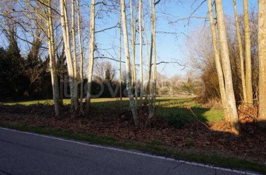 immagine annuncio 6 di 12