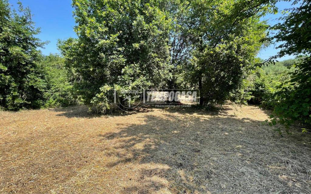 immagine annuncio 5 di 11