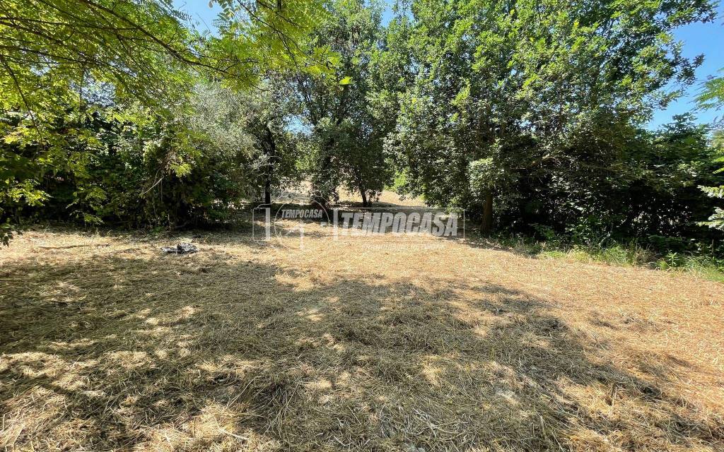 immagine annuncio 7 di 11