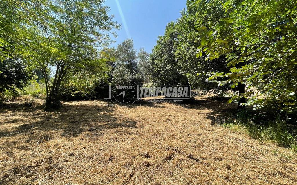 immagine annuncio 8 di 11