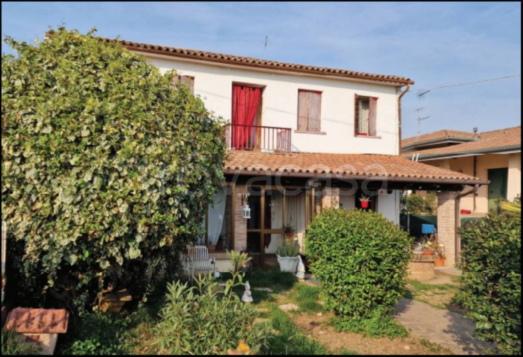 immagine annuncio 4 di 12