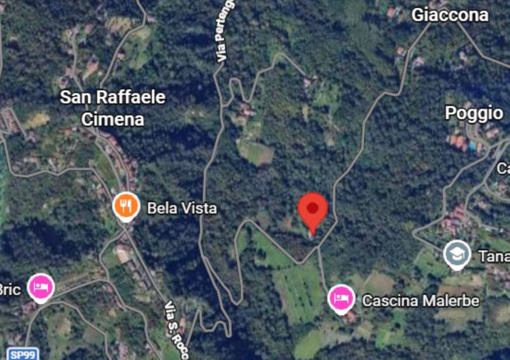 immagine annuncio 4 di 11