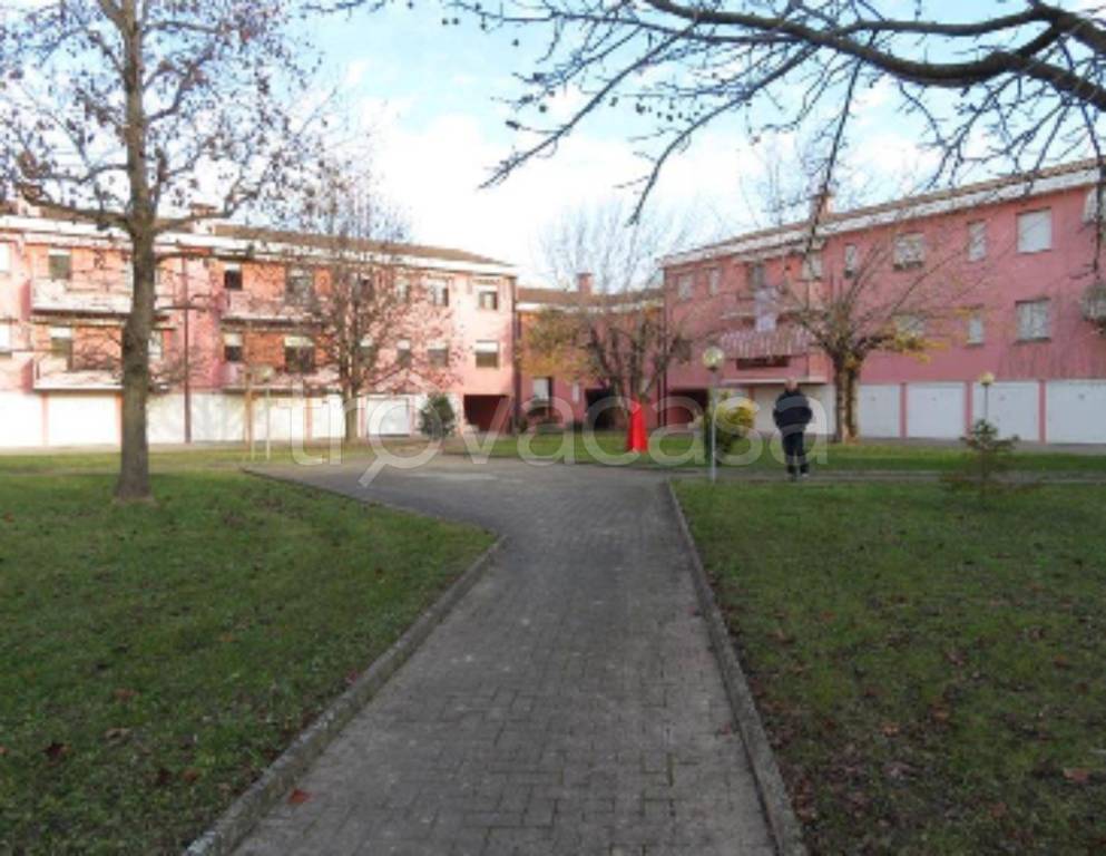 immagine annuncio 4 di 11